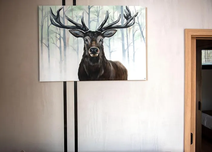 캠프장 Resort&camp